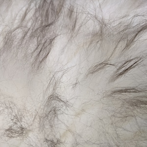 Genuine Icelandic Sheepskin Rug Throw shade of grey image 4