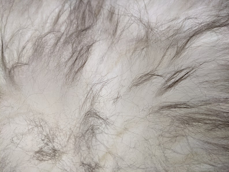 Genuine Icelandic Sheepskin Rug Throw shade of grey image 4
