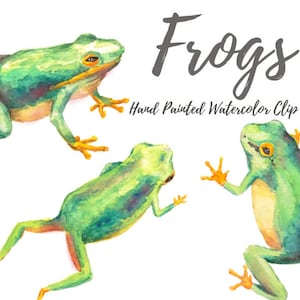 Frog Watercolor ClipArts Tropical Scrapbook Digital File Download Wedding Invitation Summer Party Rain Forest Printable