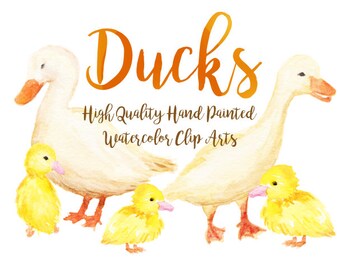 Duck Watercolor ClipArts Goose Scrapbook Digital File Download Wedding Invitation Farm barn chicken hen white duck Printable duckling
