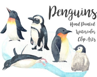 Penguins Watercolor Clipart Digital File baby shower Download decoration digital kids birthday invitation ice printable