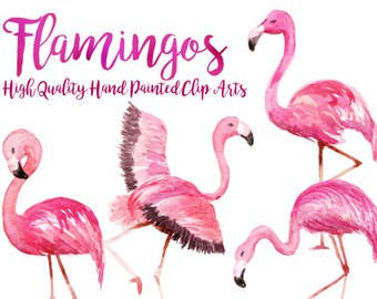 Pink Flamingo Watercolor ClipArts tropical Scrapbook Digital File Download Wedding Invitation bird zoo Printable