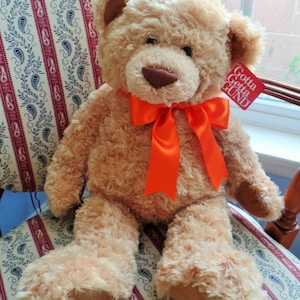 Custom Listing for Rachel: Weighted Memory Bear
