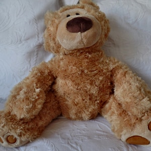 Custom Listing for Francine: Weighted Memory Bear