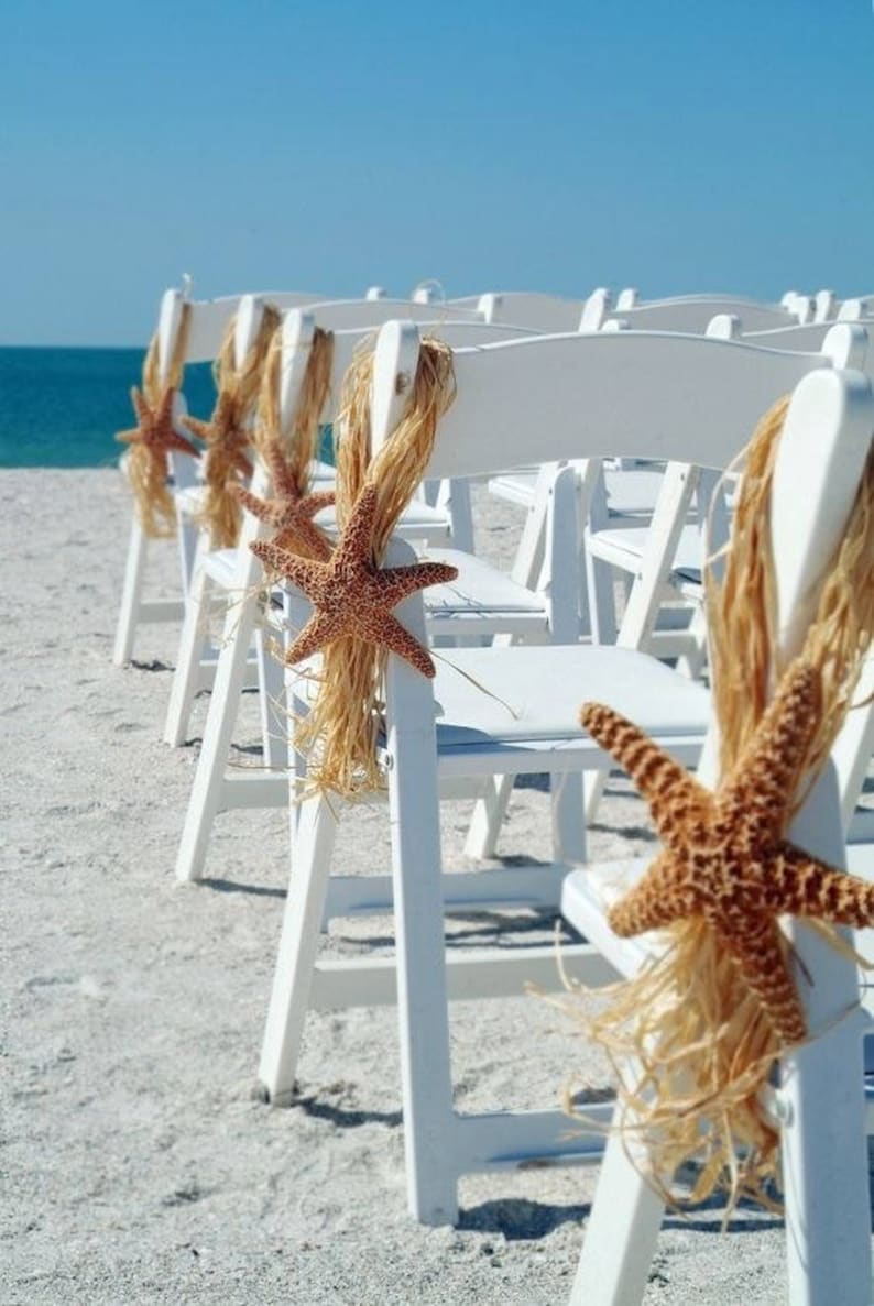 Beach Starfish Chair Hangers Starfish Chair Hangers Beach Etsy