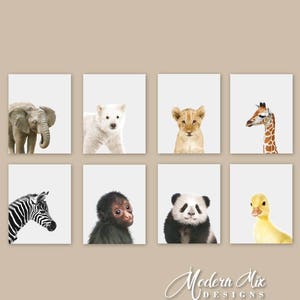 Baby Animal Nursery Art Nursery Prints Zoo Nursery Wall Art Baby Wall Art Gender Neutral Nursery Decor Baby Girl Baby Boy Gift