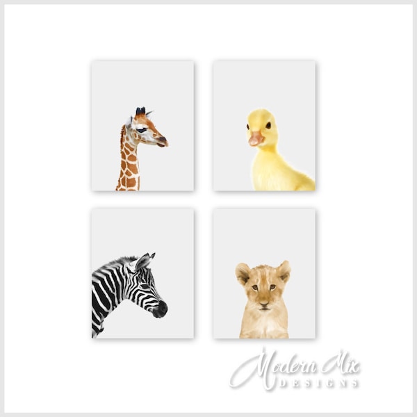 Animal Wall Art Prints Nursery Decor Baby Animal Pictures Safari Nursery Art Giraffe Zebra Lion Duck Set of 4 BAPG 0