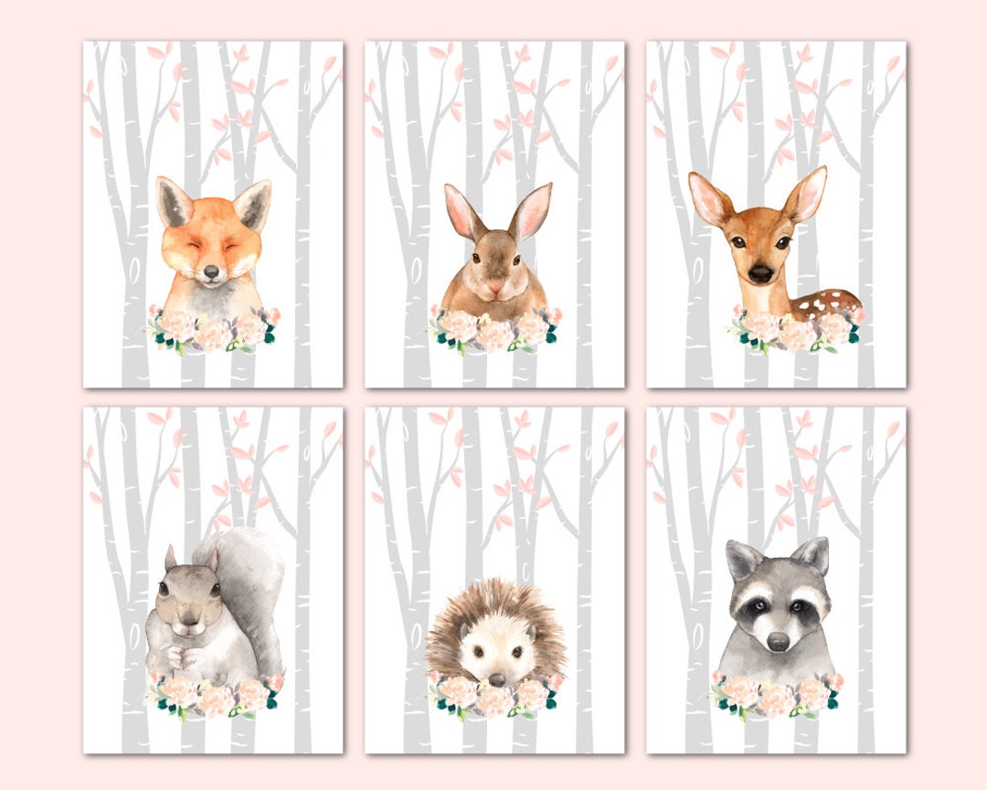 Woodland Animals Blush Floral Wall Art Baby Girl Nursery Decor, CANVAS ...