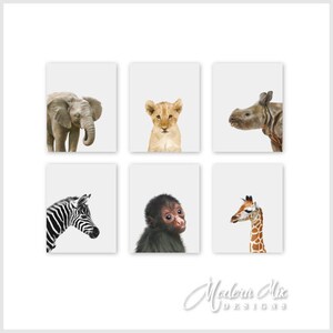 Baby Animals CANVAS Nursery Decor Safari Wall Art Baby Animal Decoration Baby Zebra Lion Rhino Monkey Giraffe Elephant Set of 6 BA 002