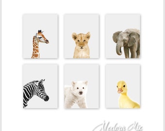 Baby Animal Prints Animal Nursery Art Prints Zoo Animals Jungle Nursery Decor Safari Nursery Art Baby Animal Prints Safari Nursery