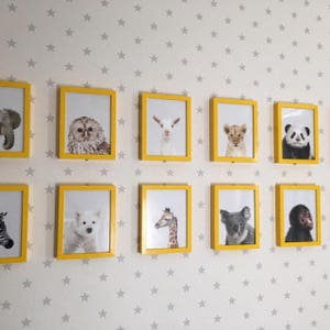 Puede incluir: Una pared con fondo blanco y un patr&oacute;n de estrellas grises. Diez marcos de fotos amarillos con paspart&uacute;s blancos est&aacute;n colgados en la pared. Cada marco contiene una imagen en blanco y negro de un animal. Los animales incluyen un b&uacute;ho, una cabra, un le&oacute;n, un panda, una cebra, un oso polar, una jirafa, un koala y un mono.