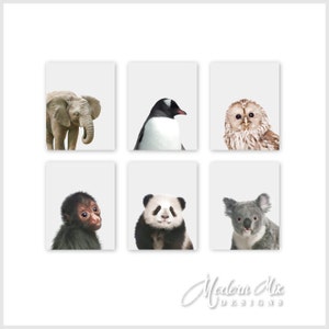 Zoológico Animal Vivero Bebé Arte Impresiones, Animal Vivero Decoración Bebé Vivero Impresión Arte Selva Vivero Arte Bebé Animal Impresiones Zoológico Animal bebé