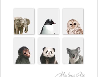 Zoo Animal Nursery Prints, Pastel Painting Style (Set of 6)