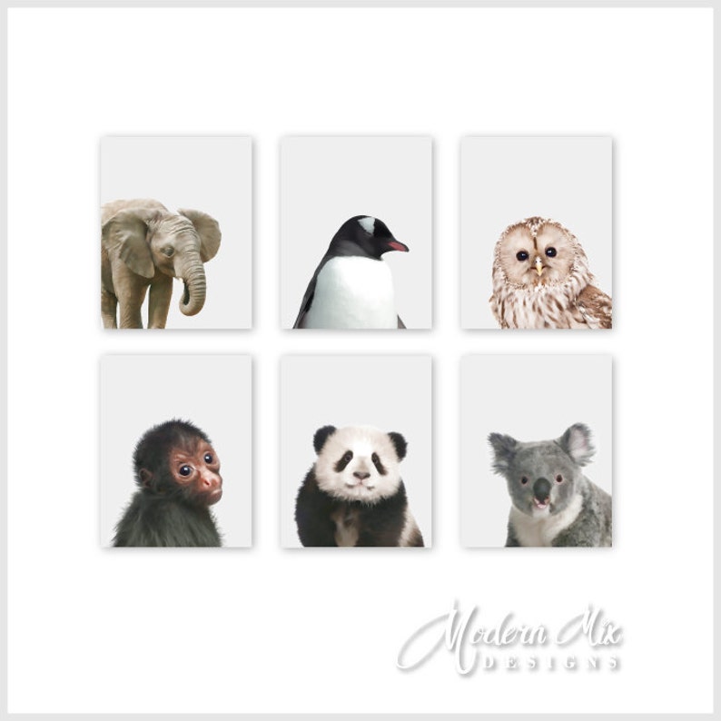 Zoo Animal Nursery Baby Art Prints, Animal Nursery Decor Baby Nursery Print Art Jungle Nursery Art Baby Animal Prints Zoo Animal baby image 1