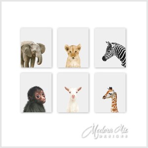 Safari nursery decor, PRINTABLE art, Safari animal prints, Nursery wall art, Jungle animals, Baby room, Elephant Giraffe Zebra Lion Monkey