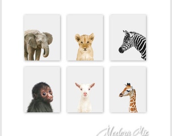 Safari nursery decor, PRINTABLE art, Safari animal prints, Nursery wall art, Jungle animals, Baby room, Elephant Giraffe Zebra Lion Monkey