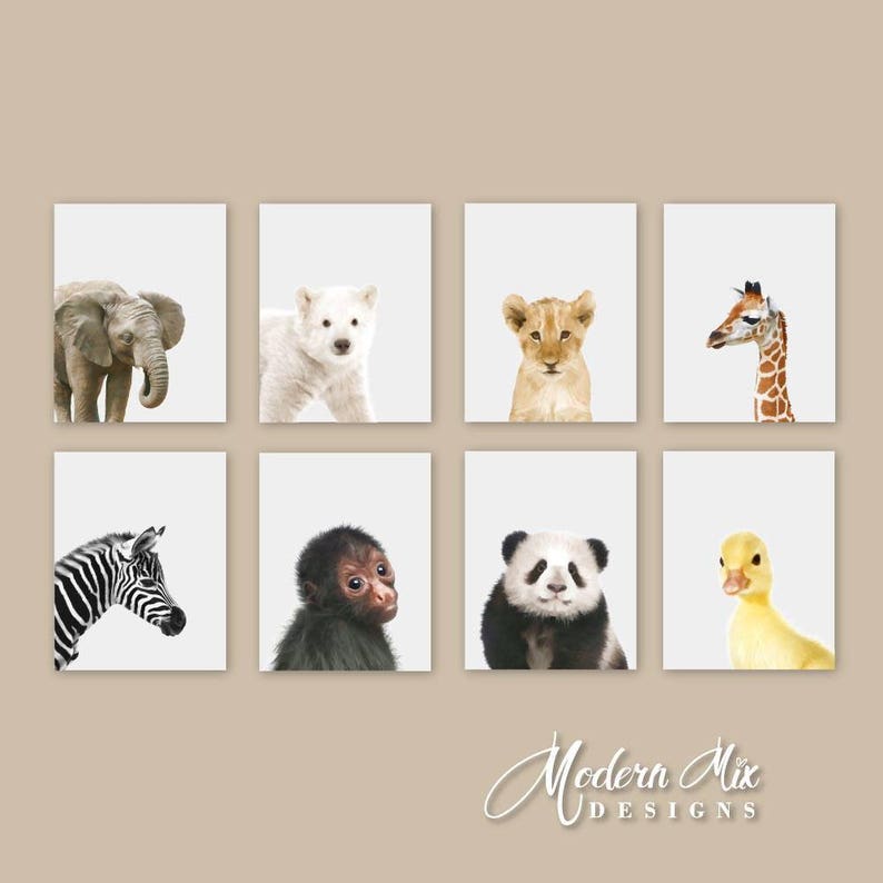 Baby Animal Nursery Art Nursery Prints Zoo Nursery Wall Art | Etsy