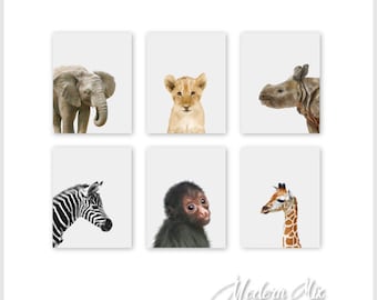 Decoración de guardería de safari, decoración de guardería de animales del zoológico, impresión artística para guardería de bebé, guardería de jungla, arte para guardería de jungla, impresiones de animales para bebés, animales de safari