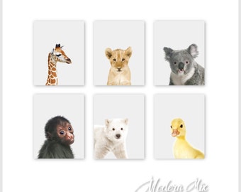 Animal Nursery Decor Zoo Nursery Decor Baby Nursery Print Art Jungle Nursery Jungle Nursery Art Baby Animal Prints Safari Animals