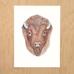 Bison image 1