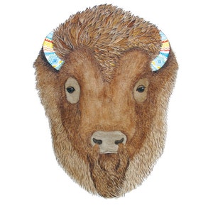 Bison image 2