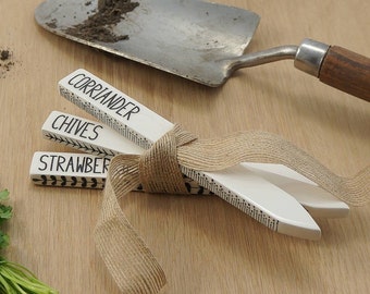 Ceramic Plant Steaks