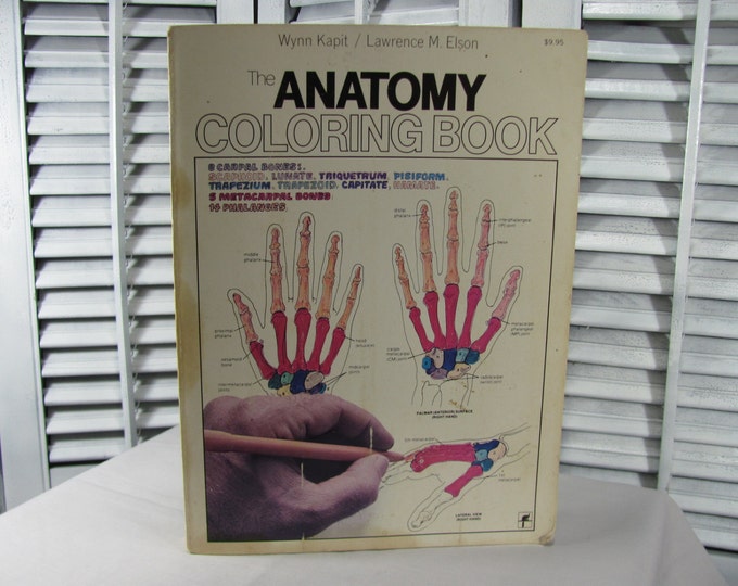 1977 the Anatomy Coloring Book Wynn Kapit Lawrence M. Elson Study Learn