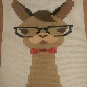 Llama Crochet Blanket