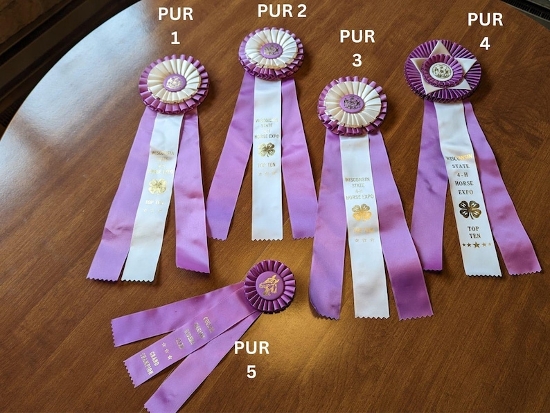 Vintage 1990s Horse Show Award Ribbons – Equestrian Decor, Coquette ...