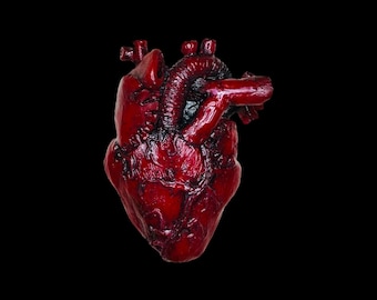 Anatomical Heart Magnet Resin Goth Kitchen Decor Gift Halloween Cardiology