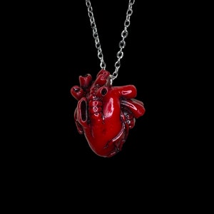 Anatomical Heart Necklace