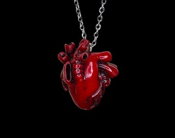 Anatomical Heart Necklace