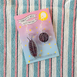 Armadillidiidae Pill Bug earrings