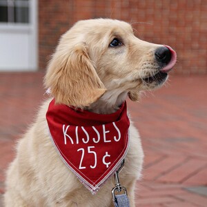 I/'m still single Mr Steal Your girl Valentines Dog Bandana **** Choose your Style My Valentine