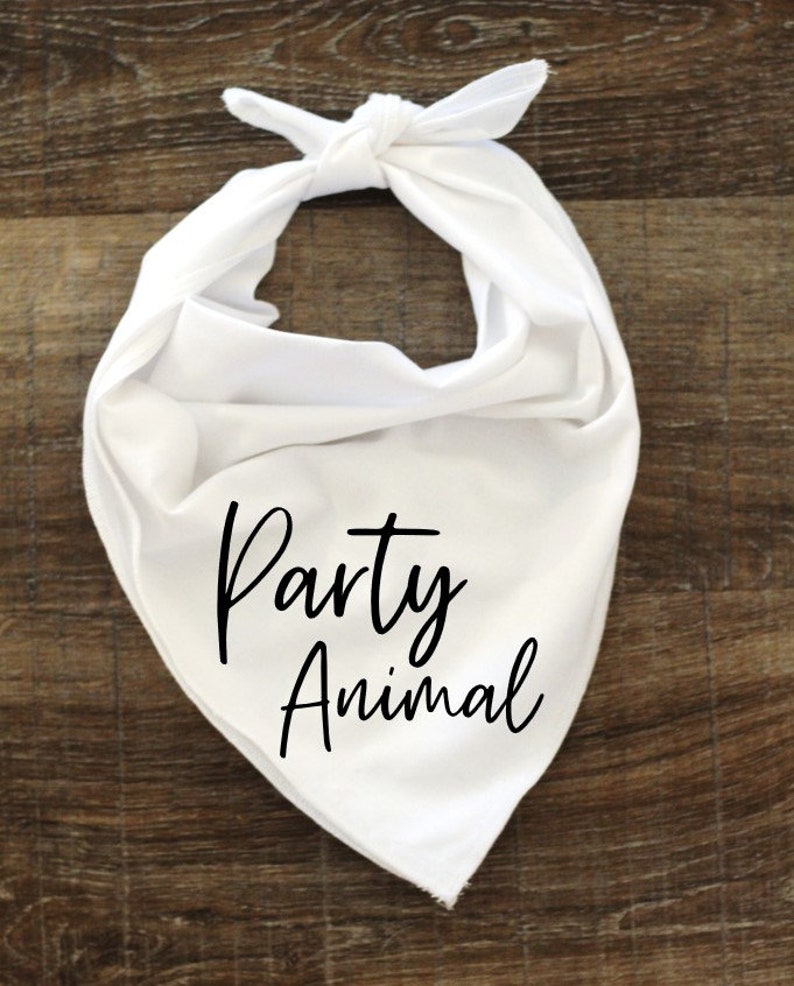 Birthday Party Funny Dog Bandana Color Options Sizes Small Medium Large-Party Animal