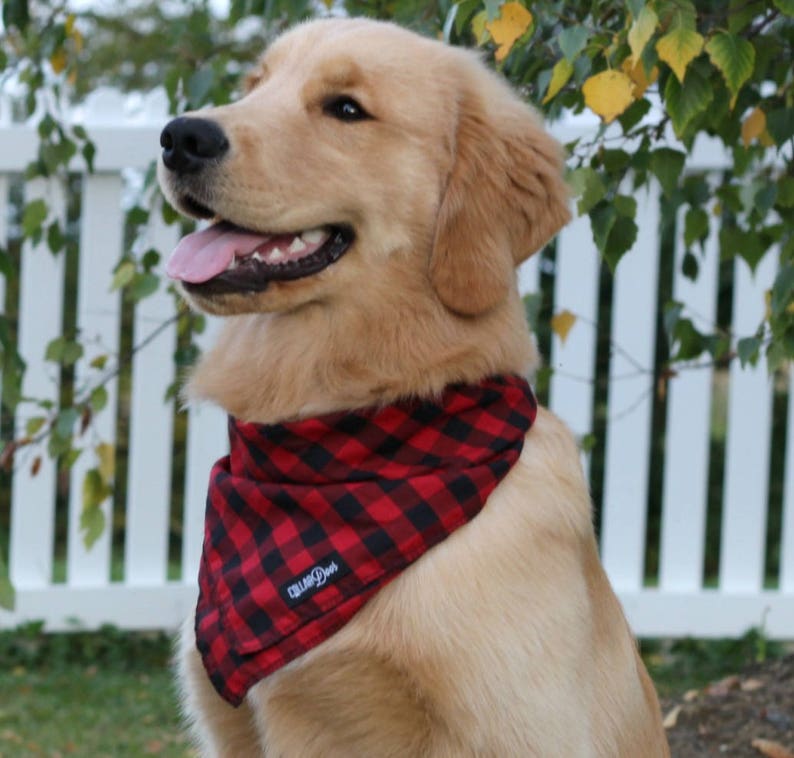 Red Black Buffalo Plaid Dog Bandana Collar Traditional Knot Etsy