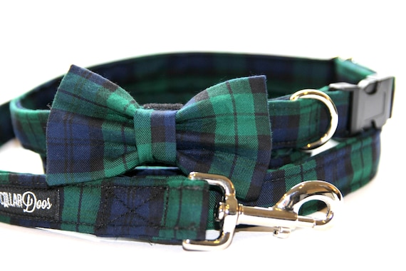 beige dog collar