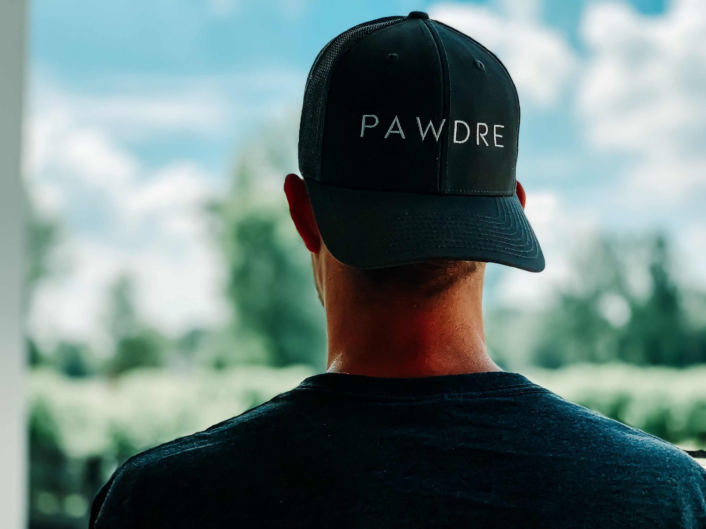 dog dad hat
