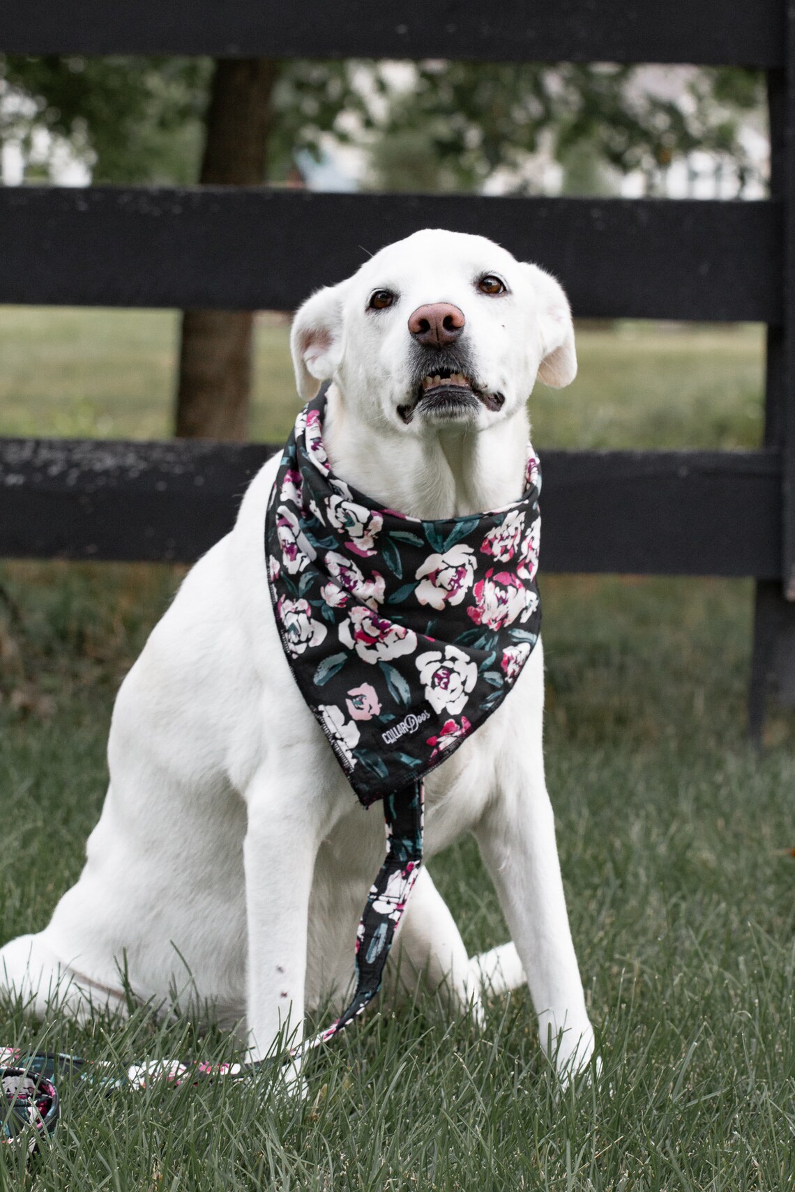 Grab Bag SALE 4 GIRL DOG Bandanas Traditional Knot Tie Sizes Etsy