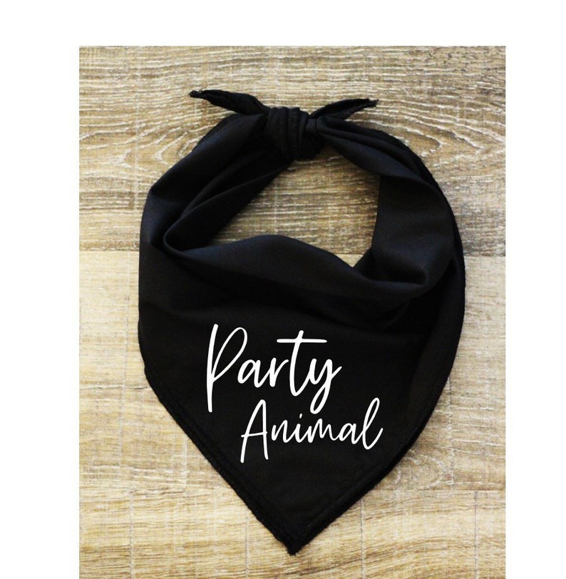 Birthday Party Funny Dog Bandana Color Options Sizes Small Medium Large-Party Animal