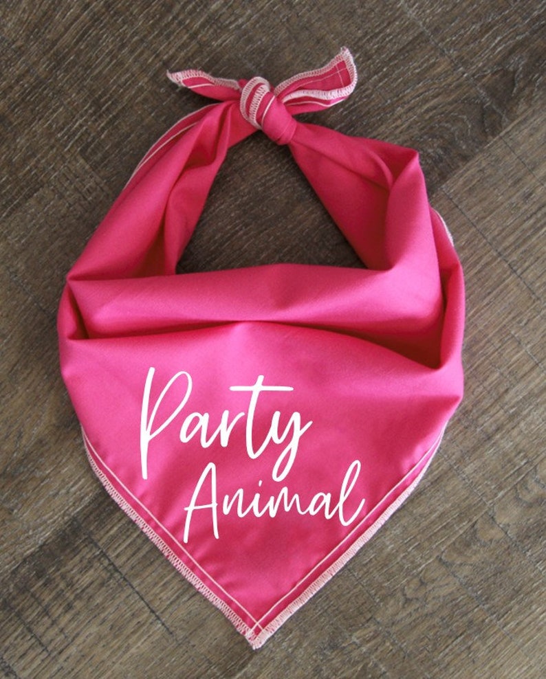 Birthday Party Funny Dog Bandana Color Options Sizes Small Medium Large-Party Animal