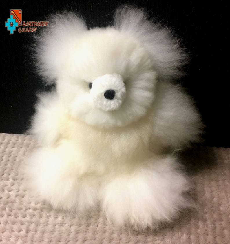 alpaca wool teddy