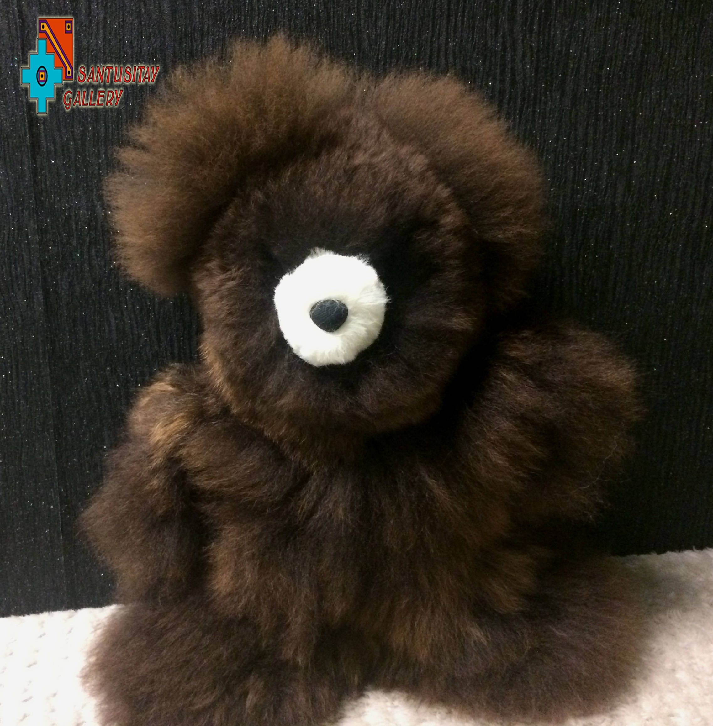 alpaca wool teddy