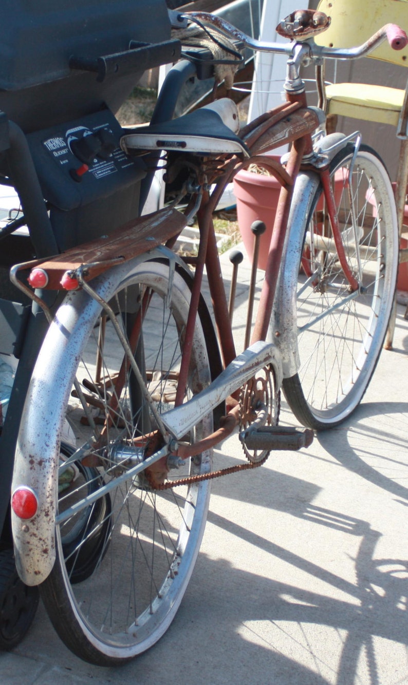 ciclotte exercise bike price