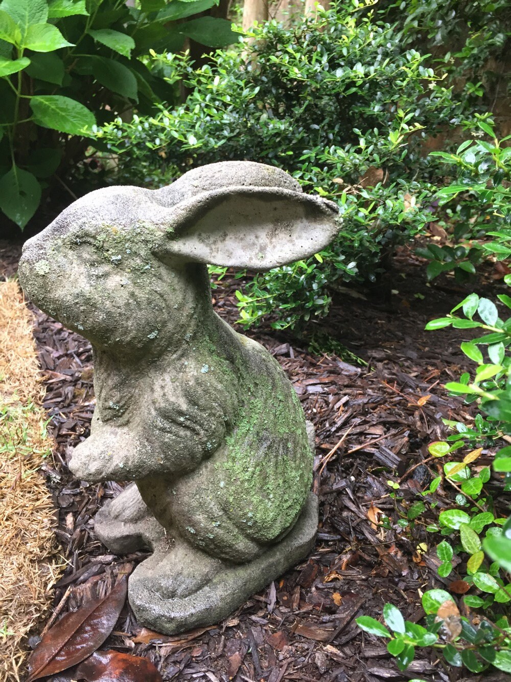 Vintage Concrete Rabbit Medium Size Concrete Bunny Statue Gray Color