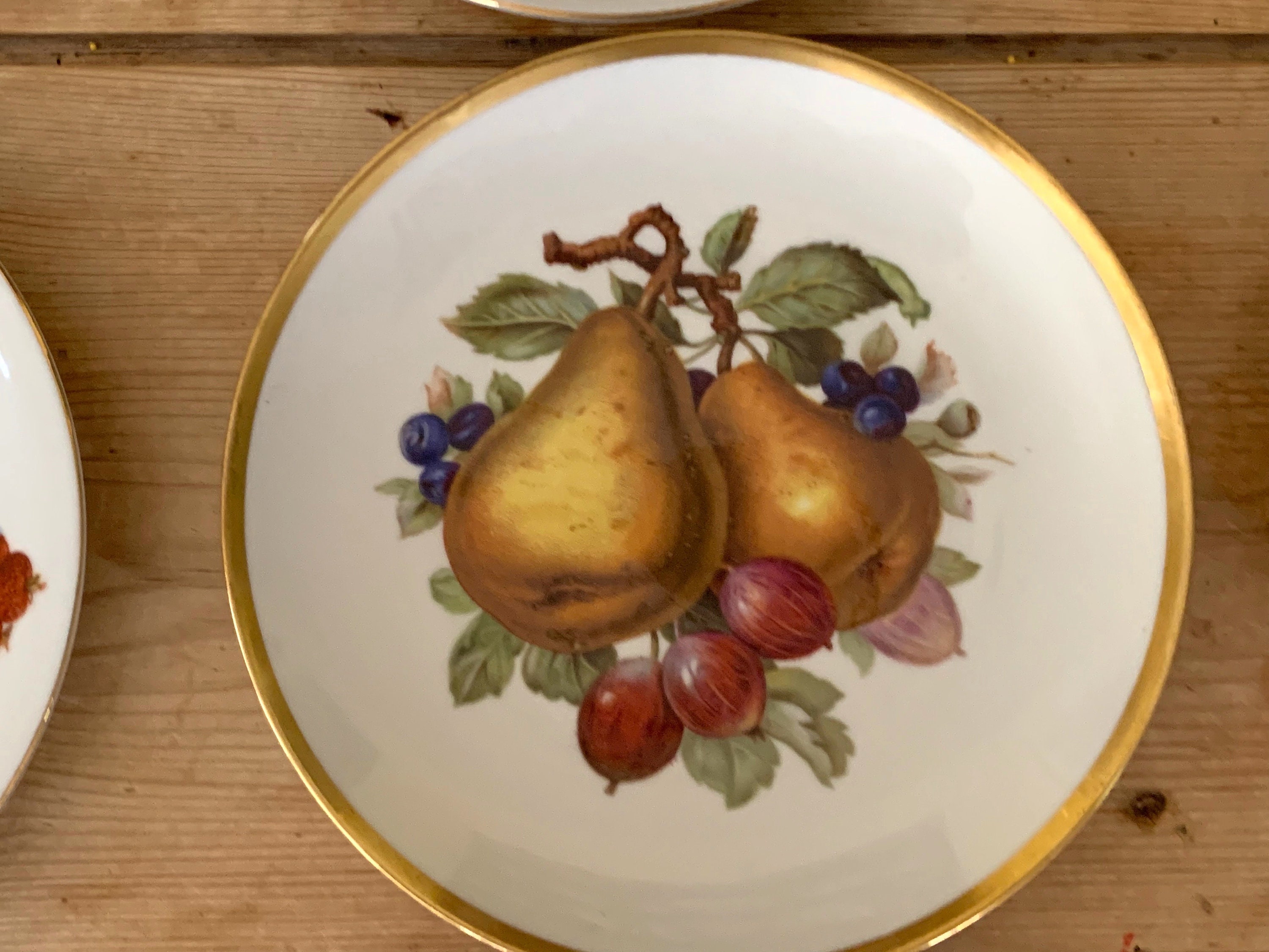 Bavarian Porcelain Fruit Plates, Set of 5 Hand Painted Fruit Plates