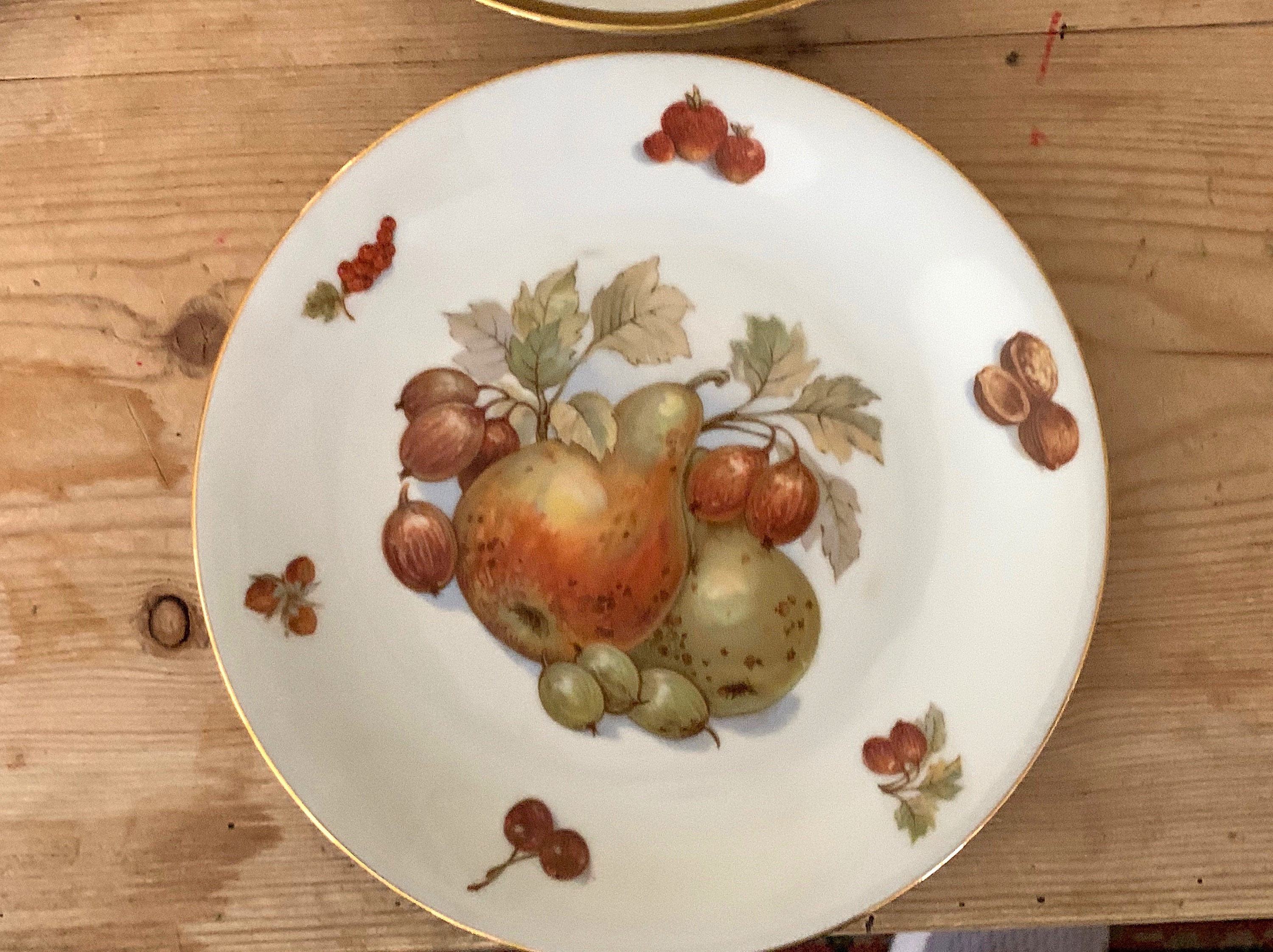 Bavarian Porcelain Fruit Plates, Set of 5 Hand Painted Fruit Plates