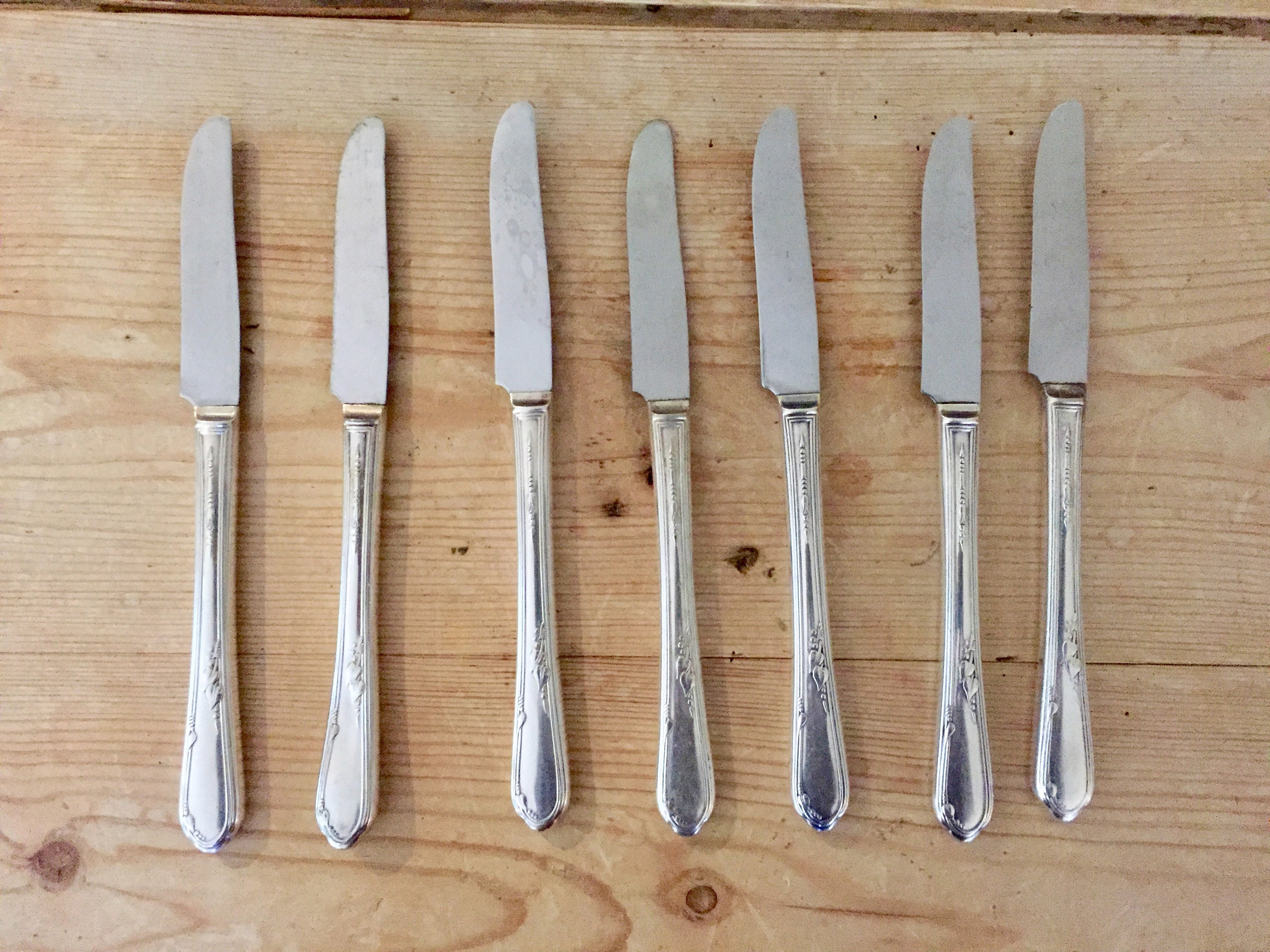 Elegant Antique French 12pc Dinner Knife Set, Genuine Ivory & Silver H –  Antiques & Uncommon Treasure