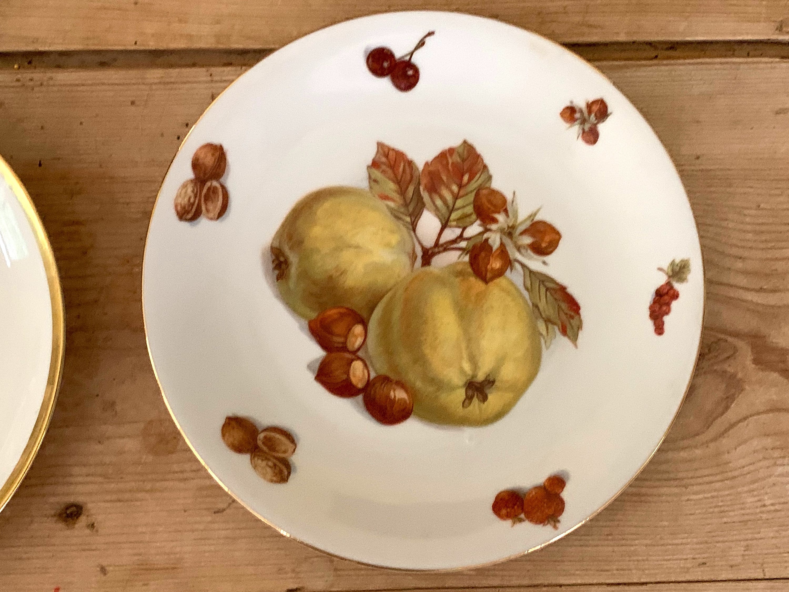 Bavarian Porcelain Fruit Plates, Set of 5 Hand Painted Fruit Plates