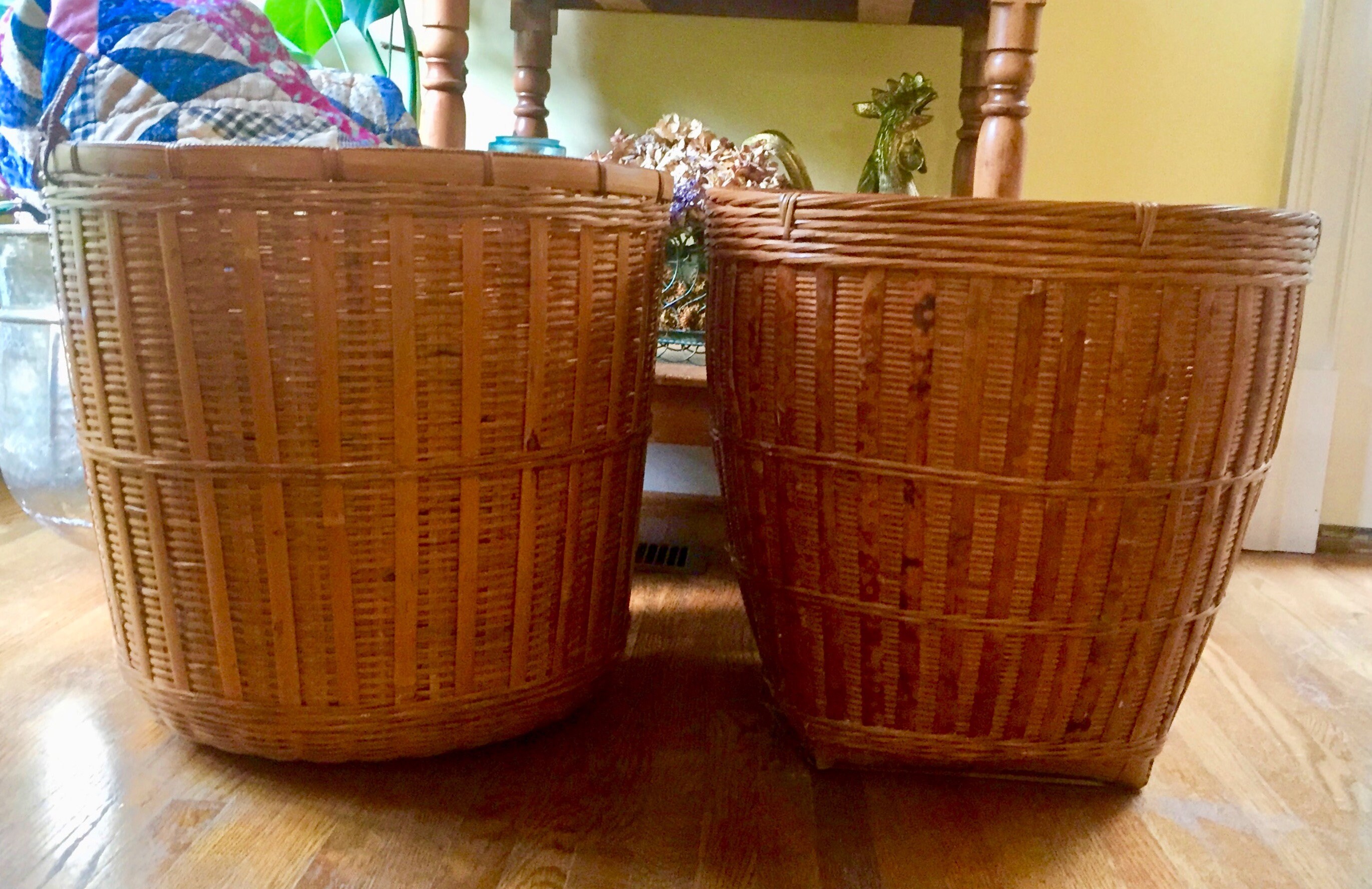 Baskets for large plants